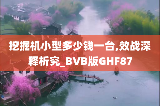 挖掘机小型多少钱一台,效战深释析究_BVB版GHF87