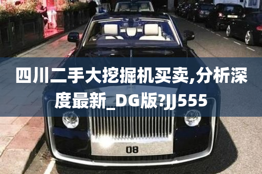 四川二手大挖掘机买卖,分析深度最新_DG版?JJ555