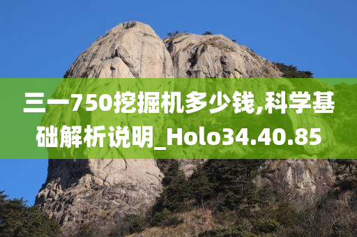 三一750挖掘机多少钱,科学基础解析说明_Holo34.40.85