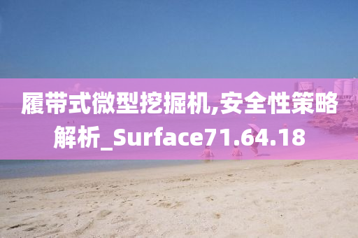 履带式微型挖掘机,安全性策略解析_Surface71.64.18