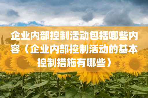 企业内部控制活动包括哪些内容（企业内部控制活动的基本控制措施有哪些）