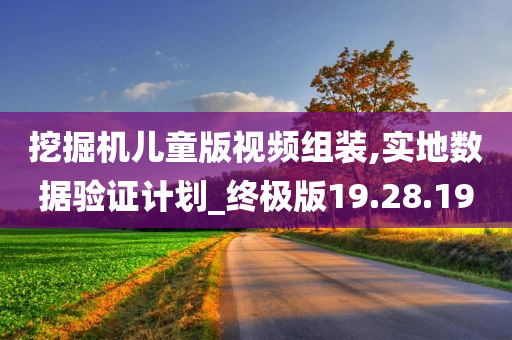 挖掘机儿童版视频组装,实地数据验证计划_终极版19.28.19