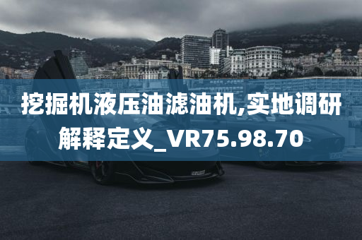 挖掘机液压油滤油机,实地调研解释定义_VR75.98.70