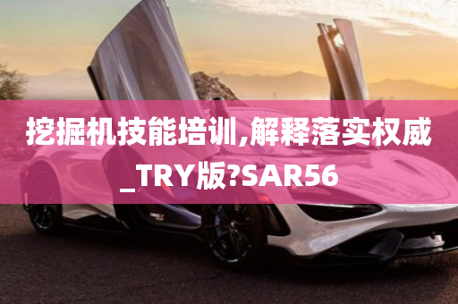 挖掘机技能培训,解释落实权威_TRY版?SAR56