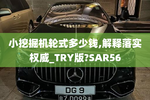 小挖掘机轮式多少钱,解释落实权威_TRY版?SAR56