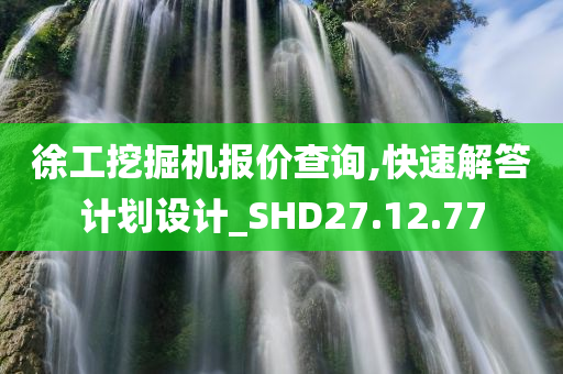 徐工挖掘机报价查询,快速解答计划设计_SHD27.12.77