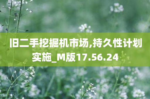 旧二手挖掘机市场,持久性计划实施_M版17.56.24