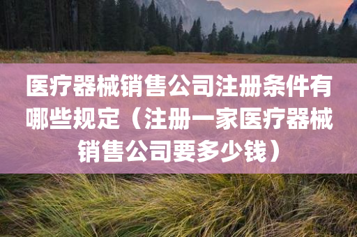 医疗器械销售公司注册条件有哪些规定（注册一家医疗器械销售公司要多少钱）