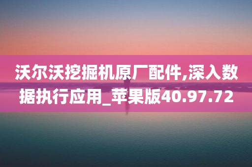 沃尔沃挖掘机原厂配件,深入数据执行应用_苹果版40.97.72