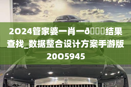 2O24管家婆一肖一🐎结果查找_数据整合设计方案手游版20O5945