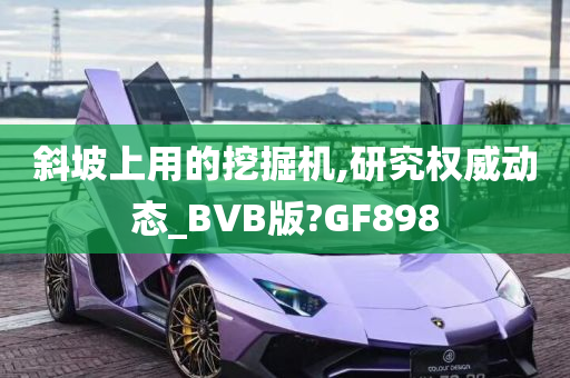 斜坡上用的挖掘机,研究权威动态_BVB版?GF898