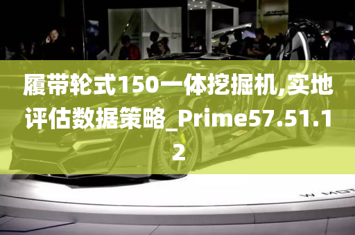 履带轮式150一体挖掘机,实地评估数据策略_Prime57.51.12