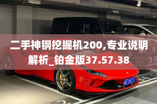 二手神钢挖掘机200,专业说明解析_铂金版37.57.38