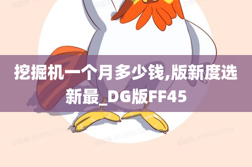 挖掘机一个月多少钱,版新度选新最_DG版FF45