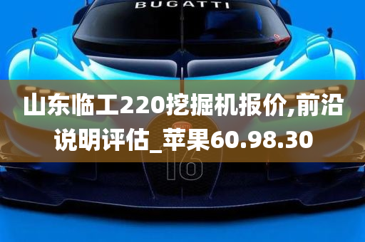 山东临工220挖掘机报价,前沿说明评估_苹果60.98.30