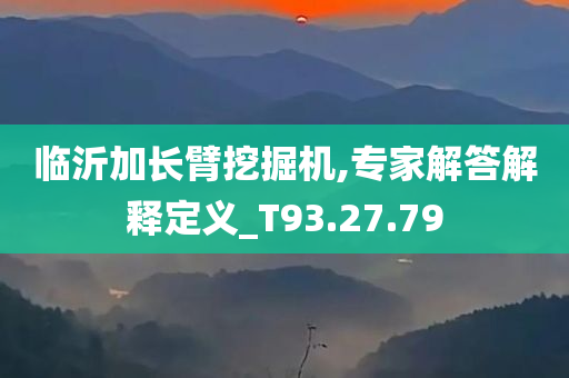 临沂加长臂挖掘机,专家解答解释定义_T93.27.79