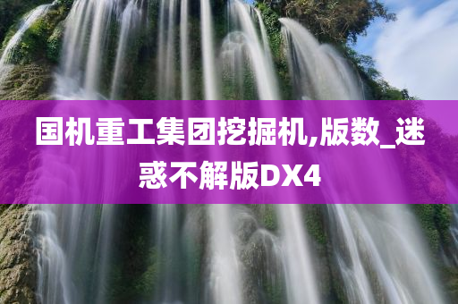 国机重工集团挖掘机,版数_迷惑不解版DX4