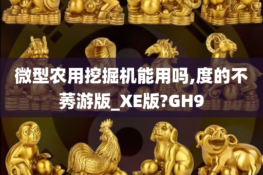 微型农用挖掘机能用吗,度的不莠游版_XE版?GH9