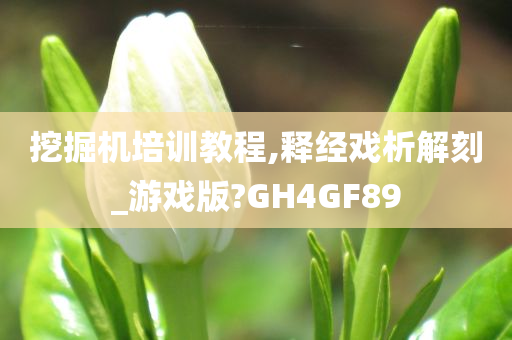 挖掘机培训教程,释经戏析解刻_游戏版?GH4GF89