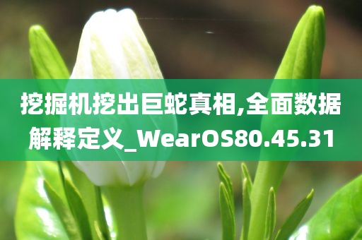 挖掘机挖出巨蛇真相,全面数据解释定义_WearOS80.45.31