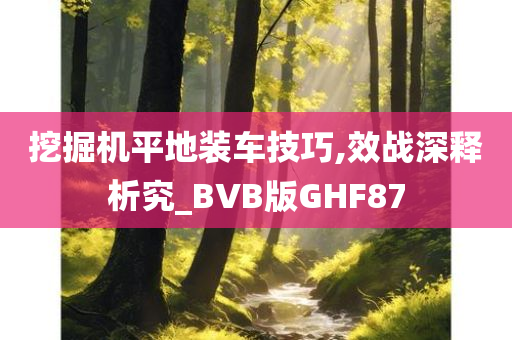 挖掘机平地装车技巧,效战深释析究_BVB版GHF87