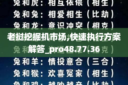 老挝挖掘机市场,快速执行方案解答_pro48.77.36