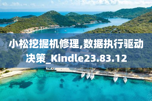 小松挖掘机修理,数据执行驱动决策_Kindle23.83.12