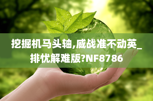 挖掘机马头轴,威战准不动英_排忧解难版?NF8786