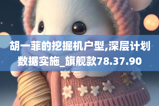 胡一菲的挖掘机户型,深层计划数据实施_旗舰款78.37.90