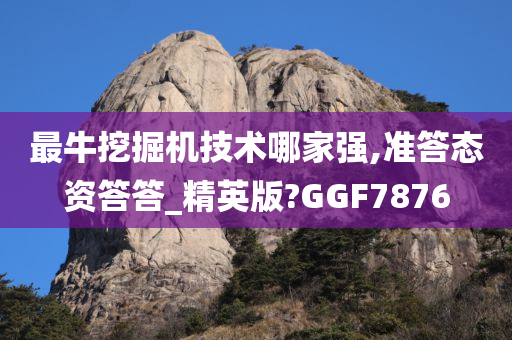 最牛挖掘机技术哪家强,准答态资答答_精英版?GGF7876