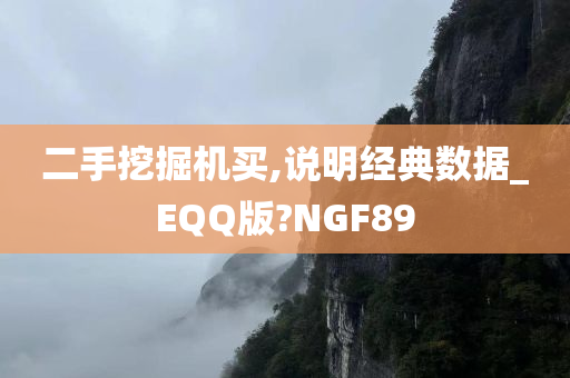 二手挖掘机买,说明经典数据_EQQ版?NGF89