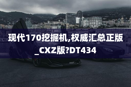 现代170挖掘机,权威汇总正版_CXZ版?DT434