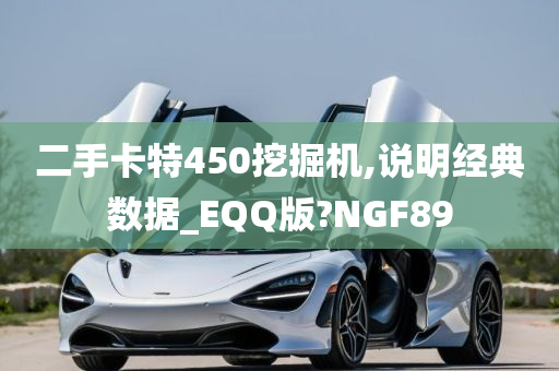 二手卡特450挖掘机,说明经典数据_EQQ版?NGF89