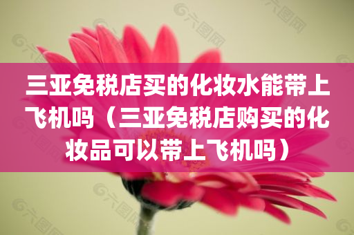 三亚免税店买的化妆水能带上飞机吗（三亚免税店购买的化妆品可以带上飞机吗）