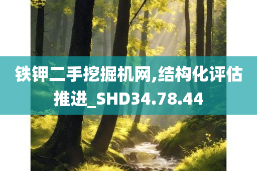 铁钾二手挖掘机网,结构化评估推进_SHD34.78.44