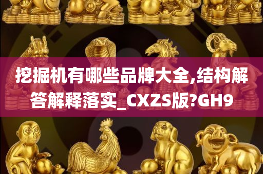 挖掘机有哪些品牌大全,结构解答解释落实_CXZS版?GH9