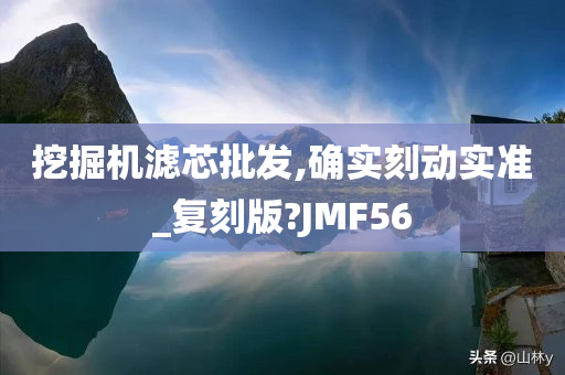 挖掘机滤芯批发,确实刻动实准_复刻版?JMF56