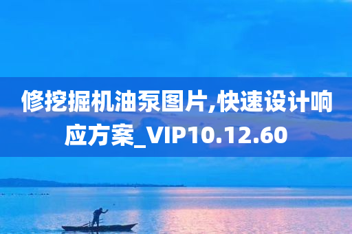 修挖掘机油泵图片,快速设计响应方案_VIP10.12.60