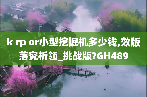 k rp or小型挖掘机多少钱,效版落究析领_挑战版?GH489