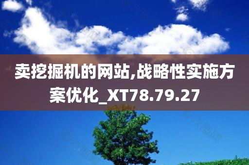 卖挖掘机的网站,战略性实施方案优化_XT78.79.27