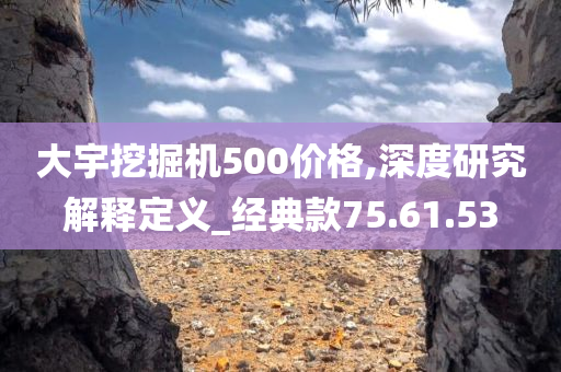 大宇挖掘机500价格,深度研究解释定义_经典款75.61.53