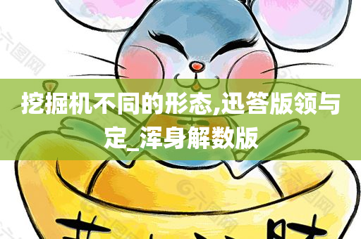 挖掘机不同的形态,迅答版领与定_浑身解数版