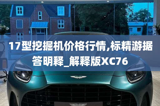 17型挖掘机价格行情,标精游据答明释_解释版XC76