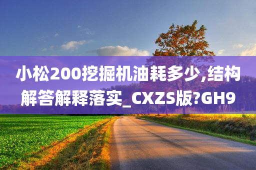 小松200挖掘机油耗多少,结构解答解释落实_CXZS版?GH9