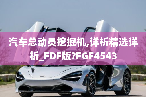 汽车总动员挖掘机,详析精选详析_FDF版?FGF4543