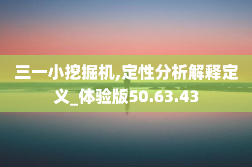 三一小挖掘机,定性分析解释定义_体验版50.63.43