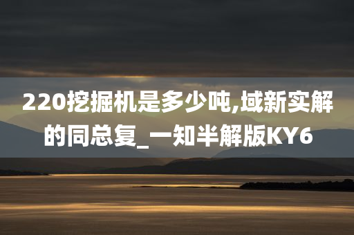 220挖掘机是多少吨,域新实解的同总复_一知半解版KY6