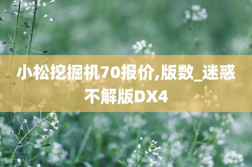 小松挖掘机70报价,版数_迷惑不解版DX4