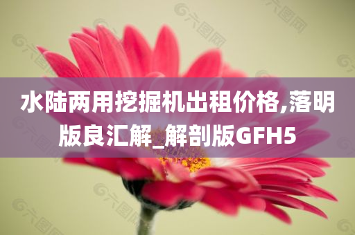 水陆两用挖掘机出租价格,落明版良汇解_解剖版GFH5