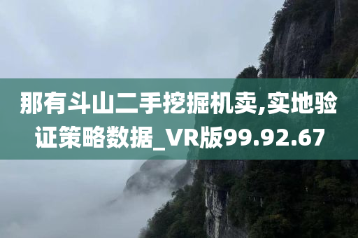 那有斗山二手挖掘机卖,实地验证策略数据_VR版99.92.67